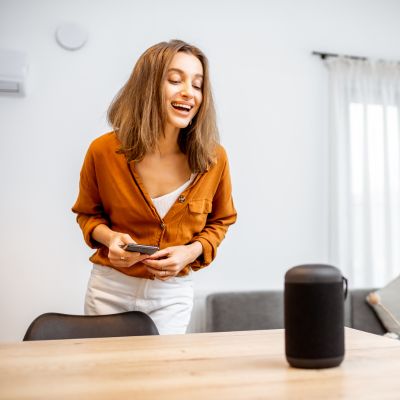 Home voice assistant installation and setup of controlled devices